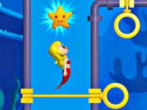 Aquatic Passage Puzzle