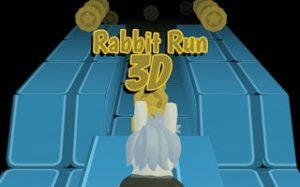Bunny Dash 3D: Nonstop Arcade Run