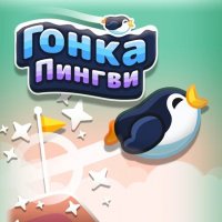 Penguin Slide Adventure