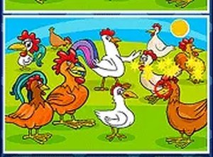 Cartoon Birds Difference Puzzle