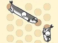 Fish Jam Puzzle Game
